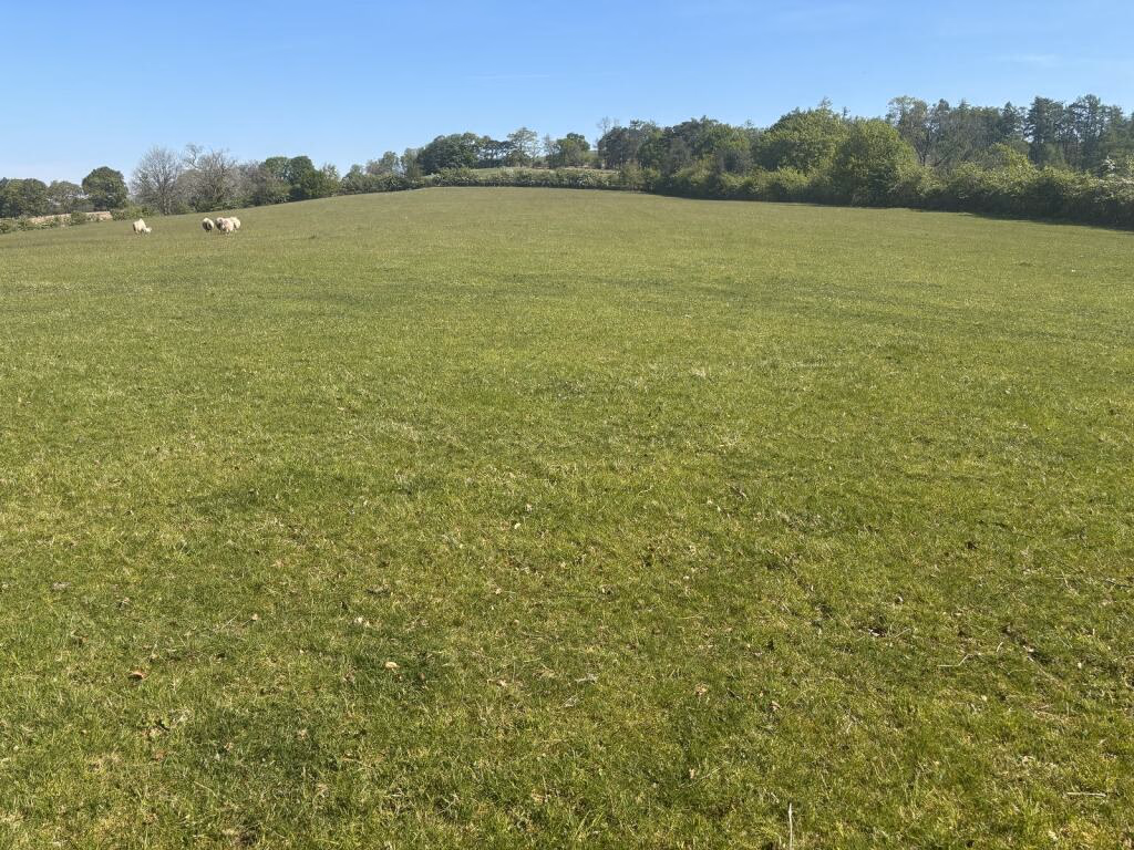 Land for sale - Image 2