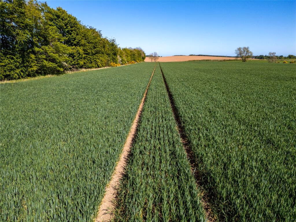 Land for sale - Image 5