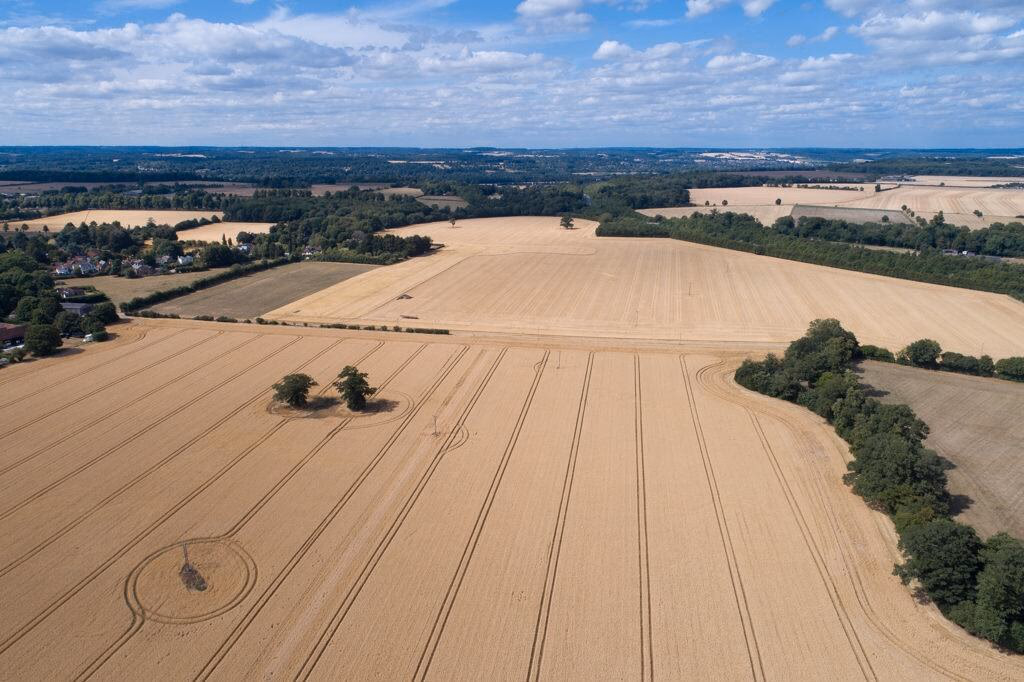 Farm land for sale - Image 1