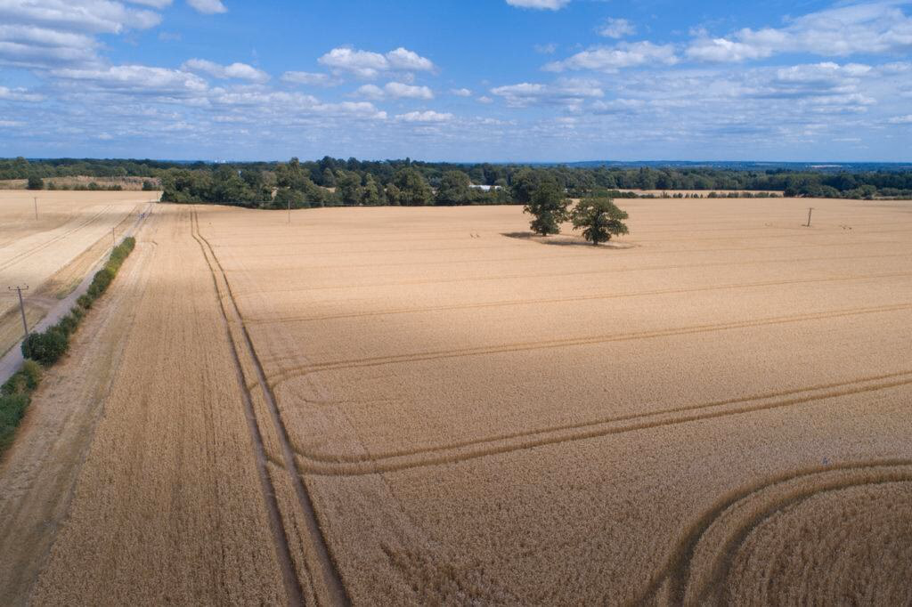 Farm land for sale - Image 2