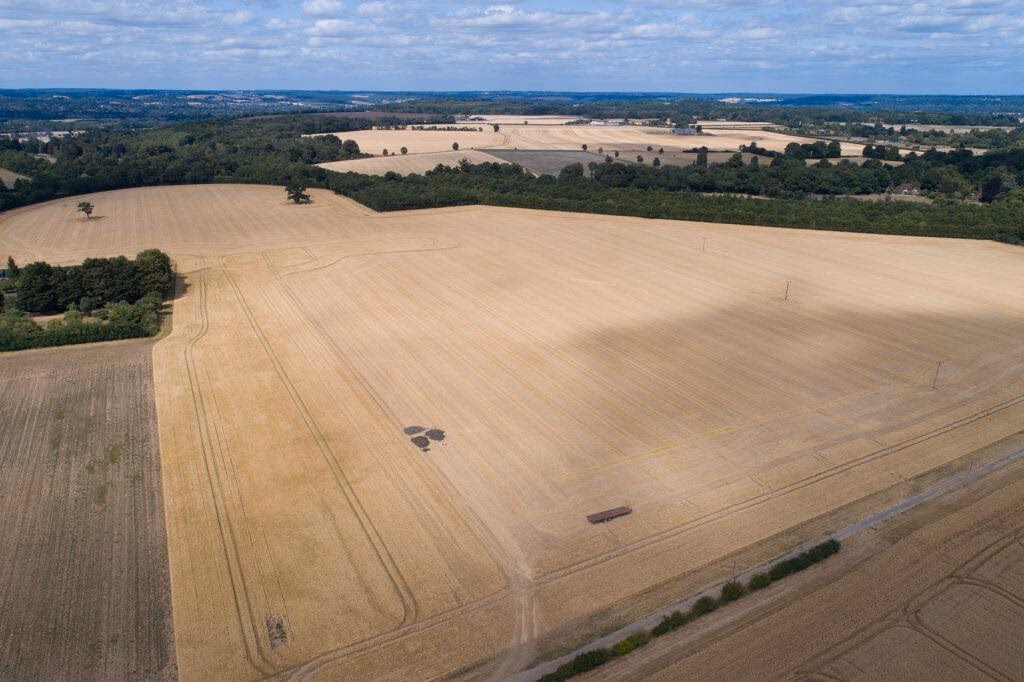 Farm land for sale - Image 3