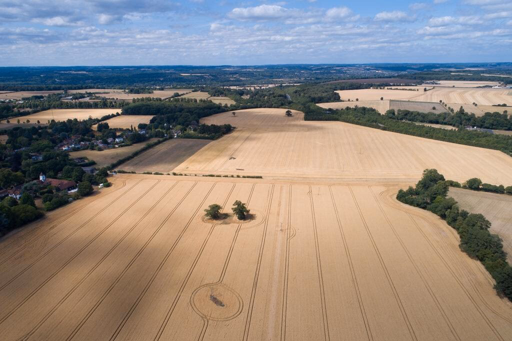 Farm land for sale - Image 5