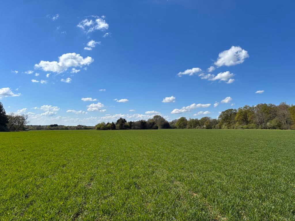 Farm land for sale - Image 3