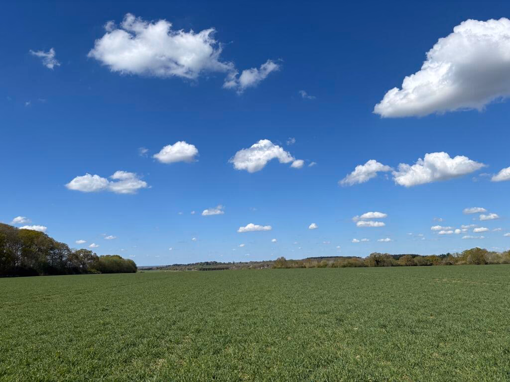 Farm land for sale - Image 4