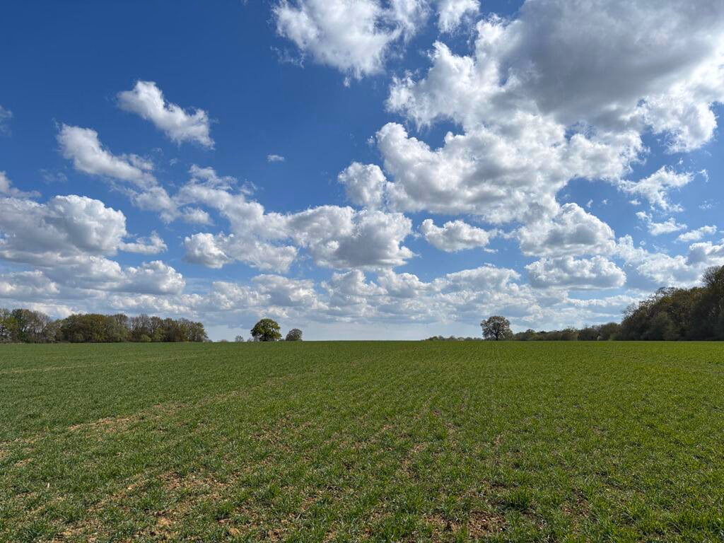 Farm land for sale - Image 5