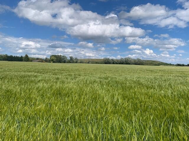 Farm land for sale - Image 1