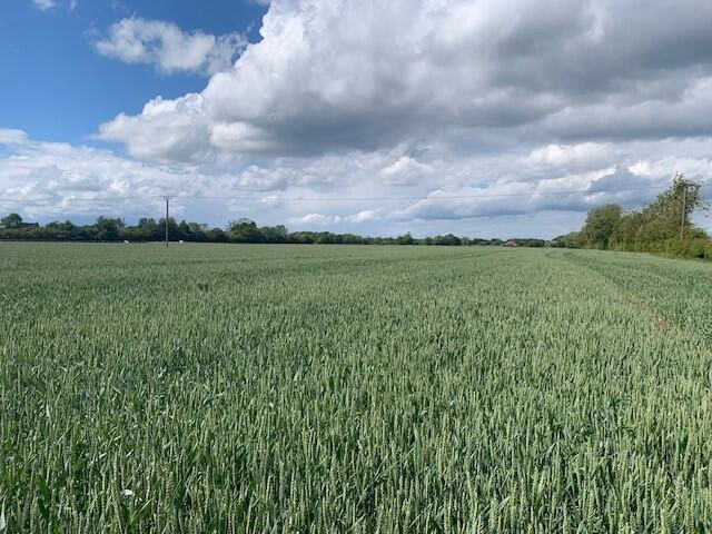 Farm land for sale - Image 2