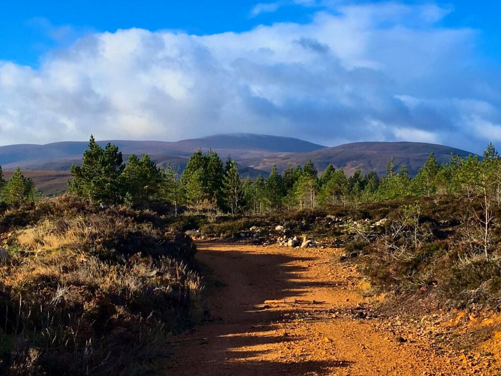 Land for sale - Image 2