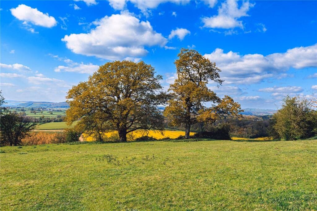 Land for sale - Image 4