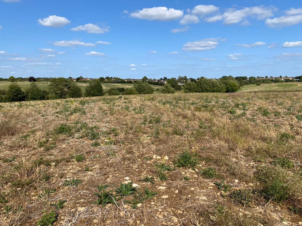 Farm land for sale - Image 1