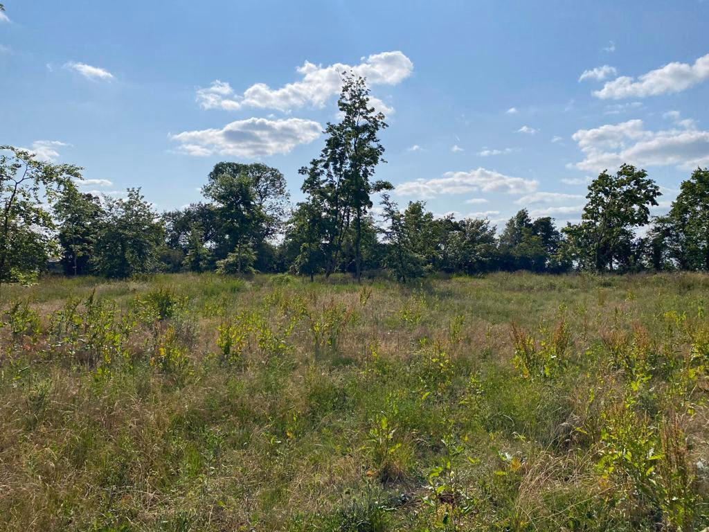 Farm land for sale - Image 3