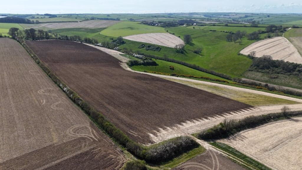 Land for sale - Image 1