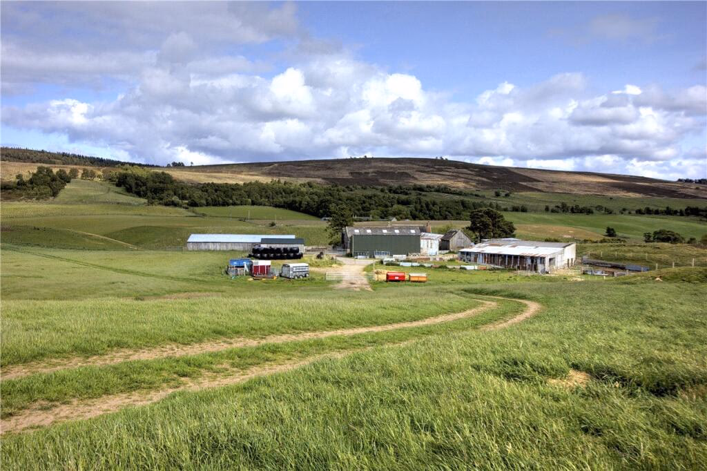 Land for sale - Image 4