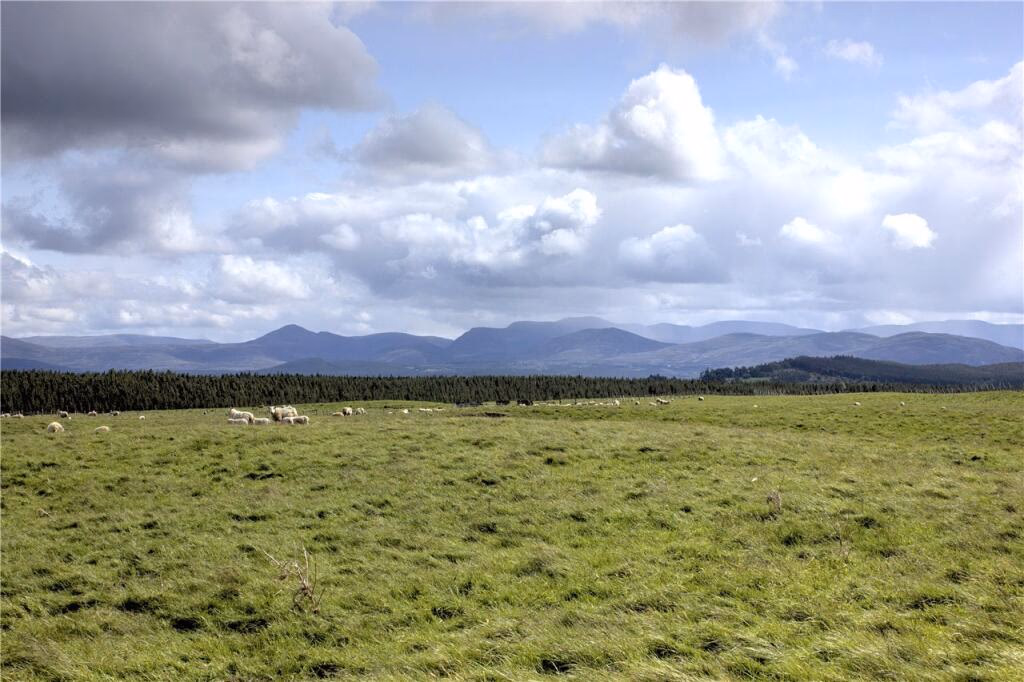 Land for sale - Image 5