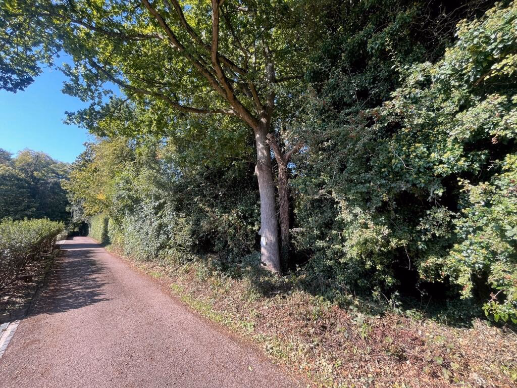 Plot for sale - Image 4