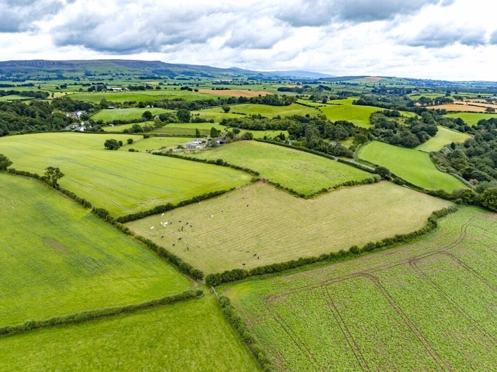 Land for sale - Image 2