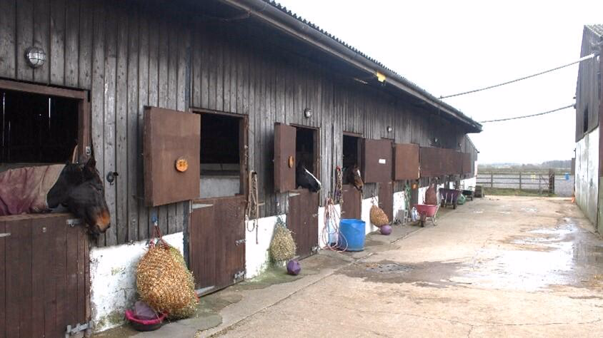 Farm land for sale - Image 3