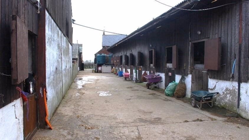 Farm land for sale - Image 4