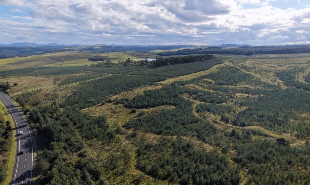 Land for sale - Image 1