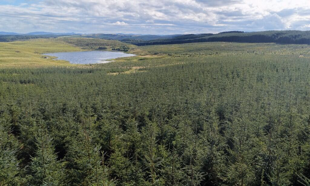 Land for sale - Image 2