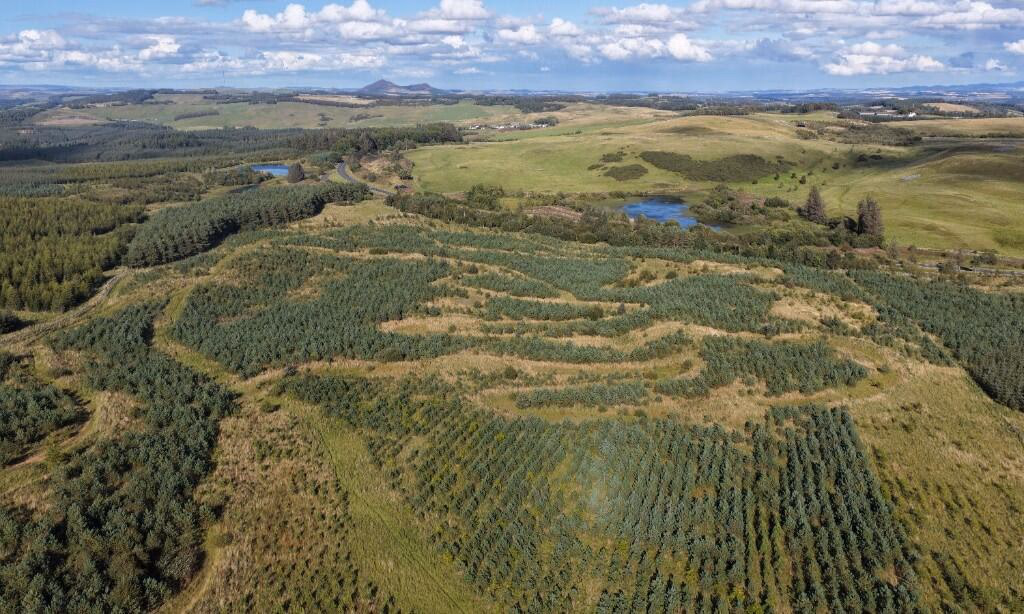 Land for sale - Image 3