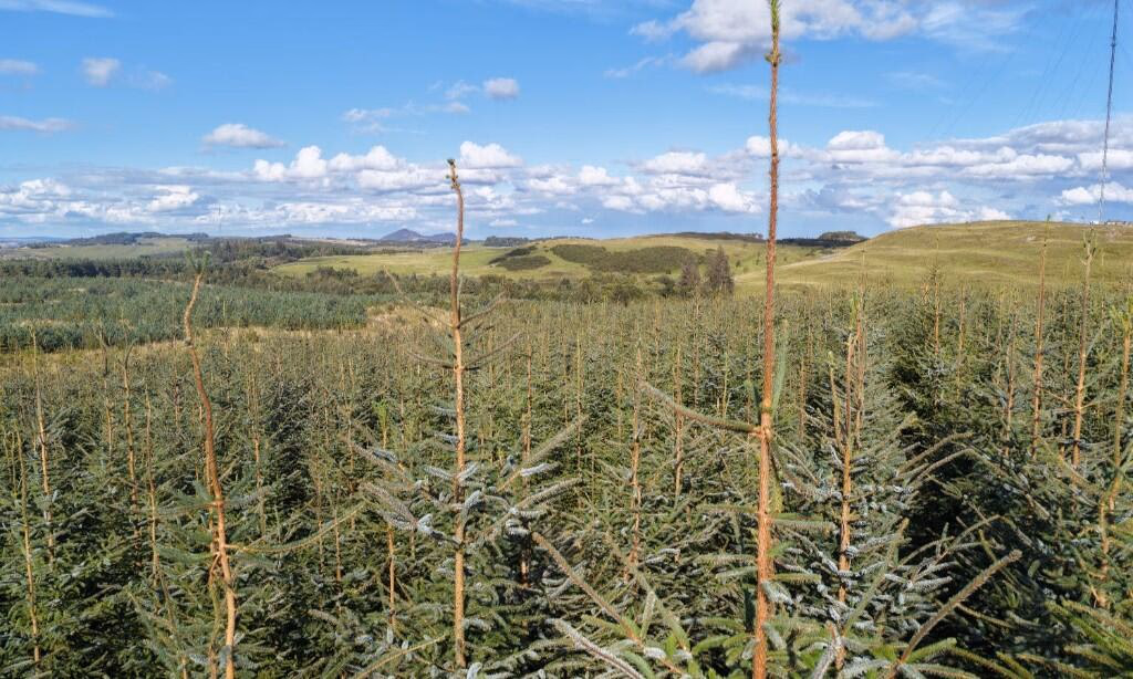 Land for sale - Image 4