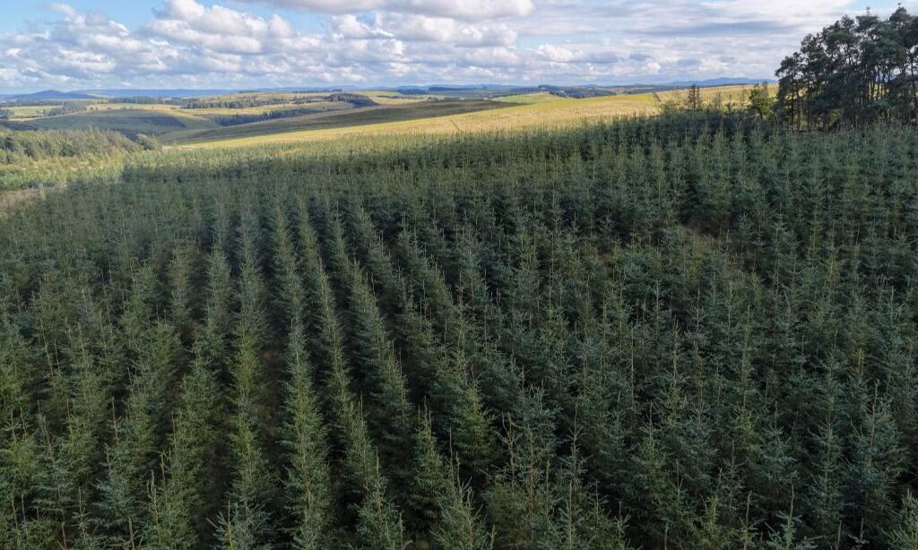 Land for sale - Image 5