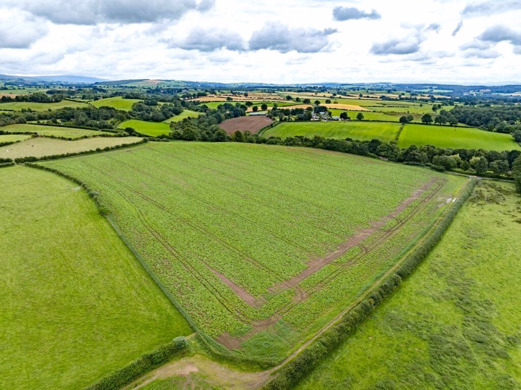 Land for sale - Image 1