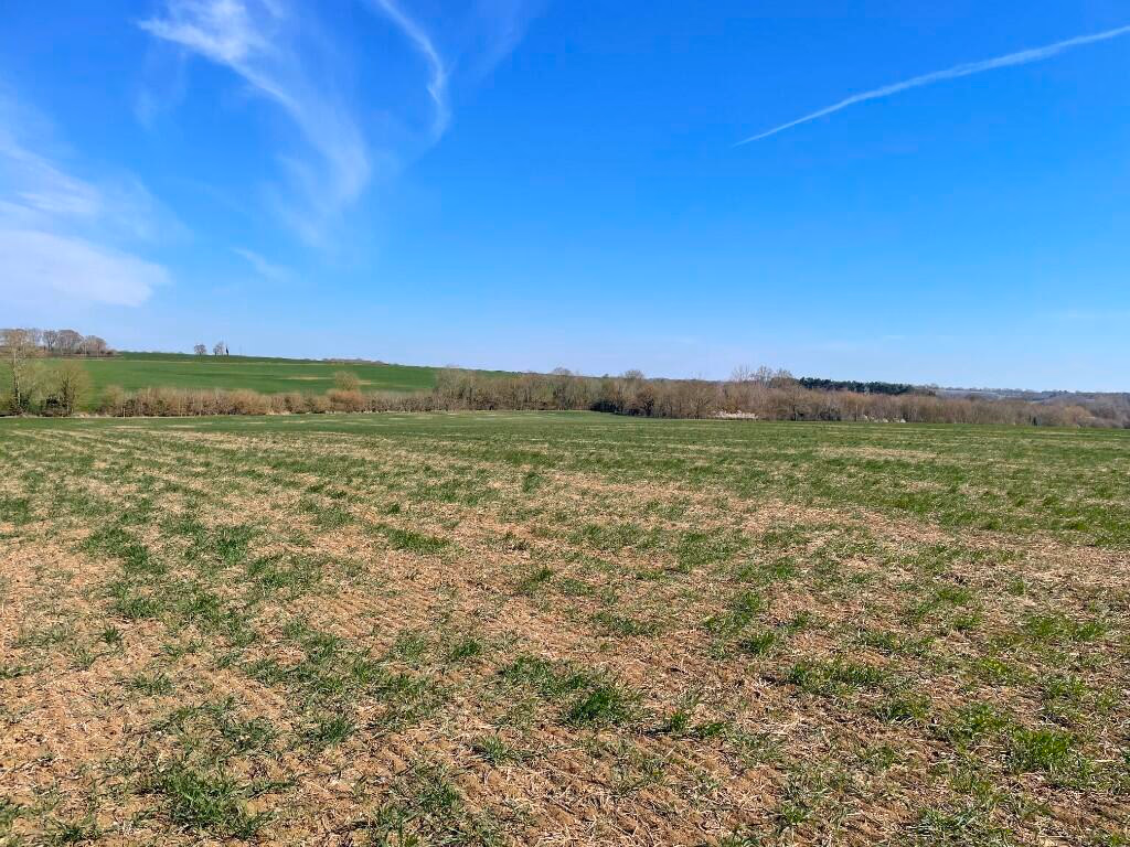 Farm land for sale - Image 1