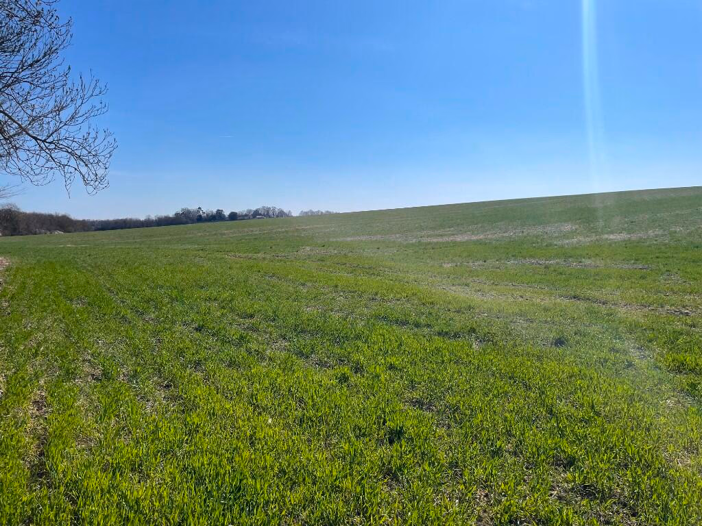 Farm land for sale - Image 2