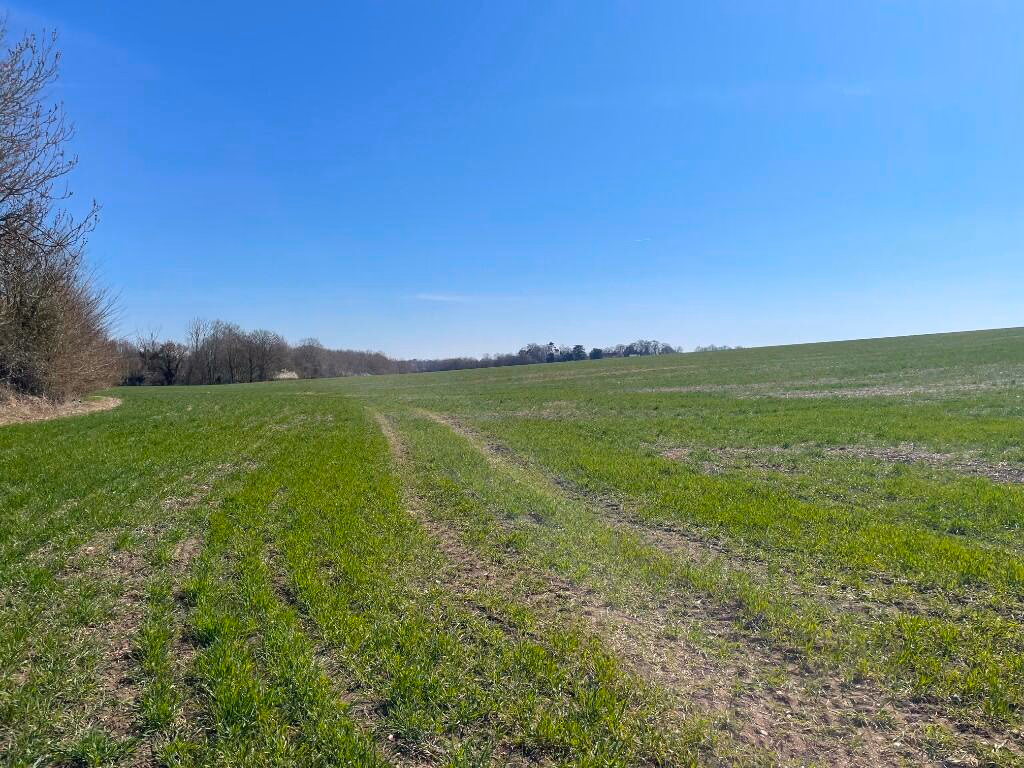 Farm land for sale - Image 3