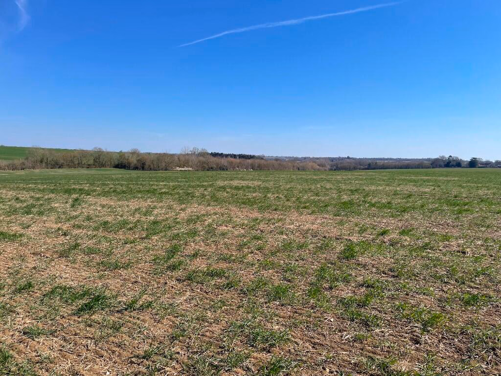 Farm land for sale - Image 4