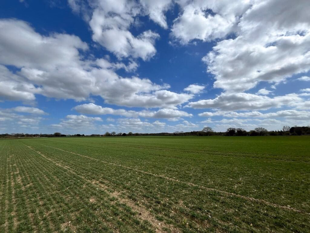 Land for sale - Image 3