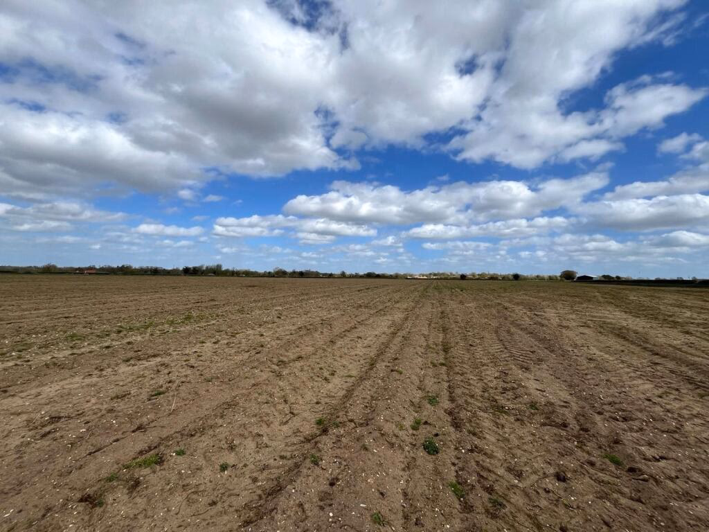 Land for sale - Image 4