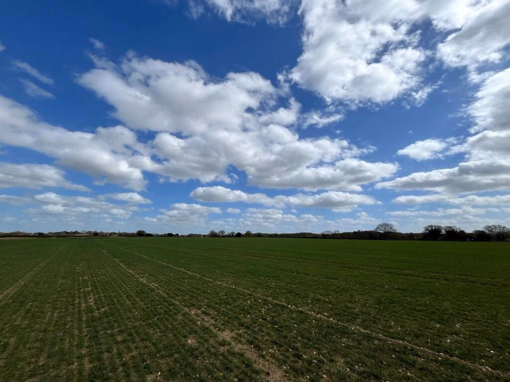 Land for sale - Image 5