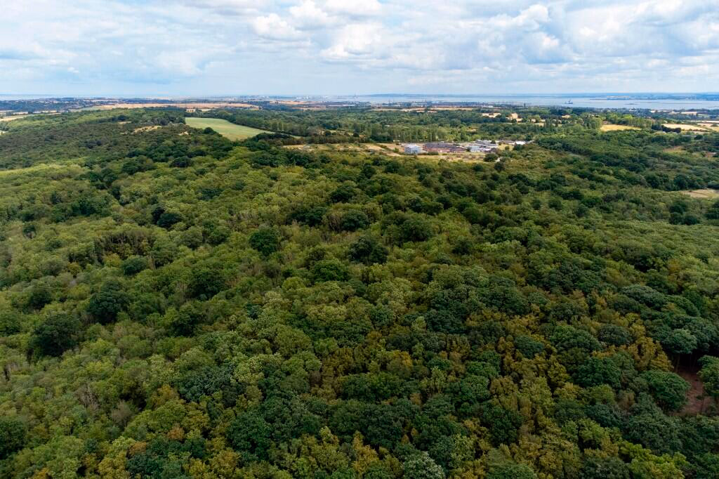 Land for sale - Image 3