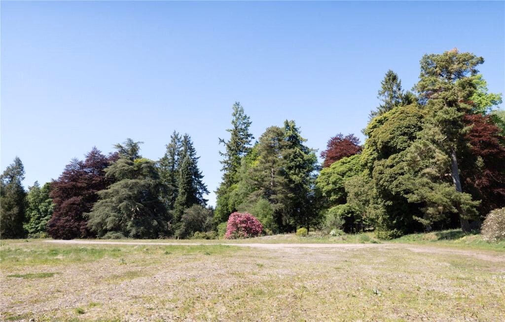 Land for sale - Image 4