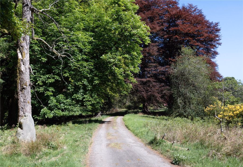 Land for sale - Image 5