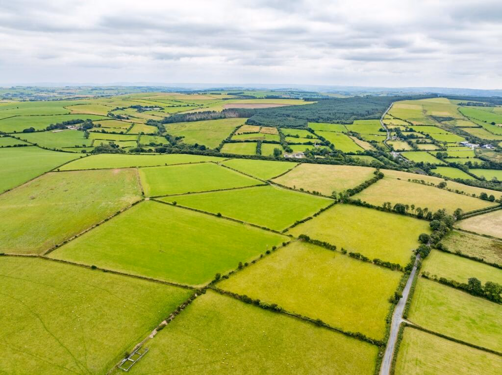 Farm land for sale - Image 3