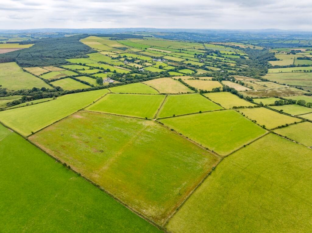 Farm land for sale - Image 5