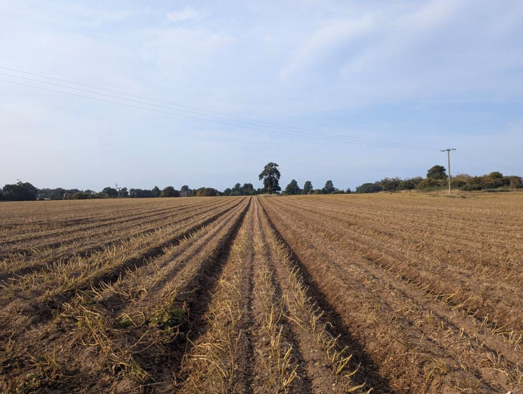 Land for sale - Image 1