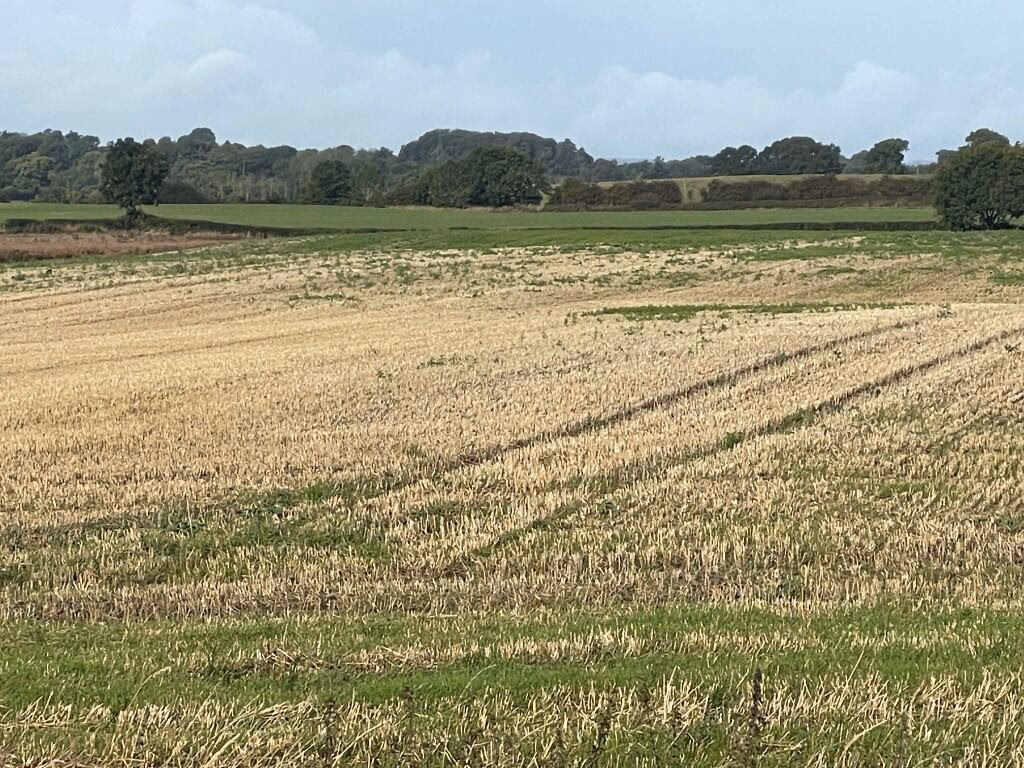 Farm land for sale - Image 2