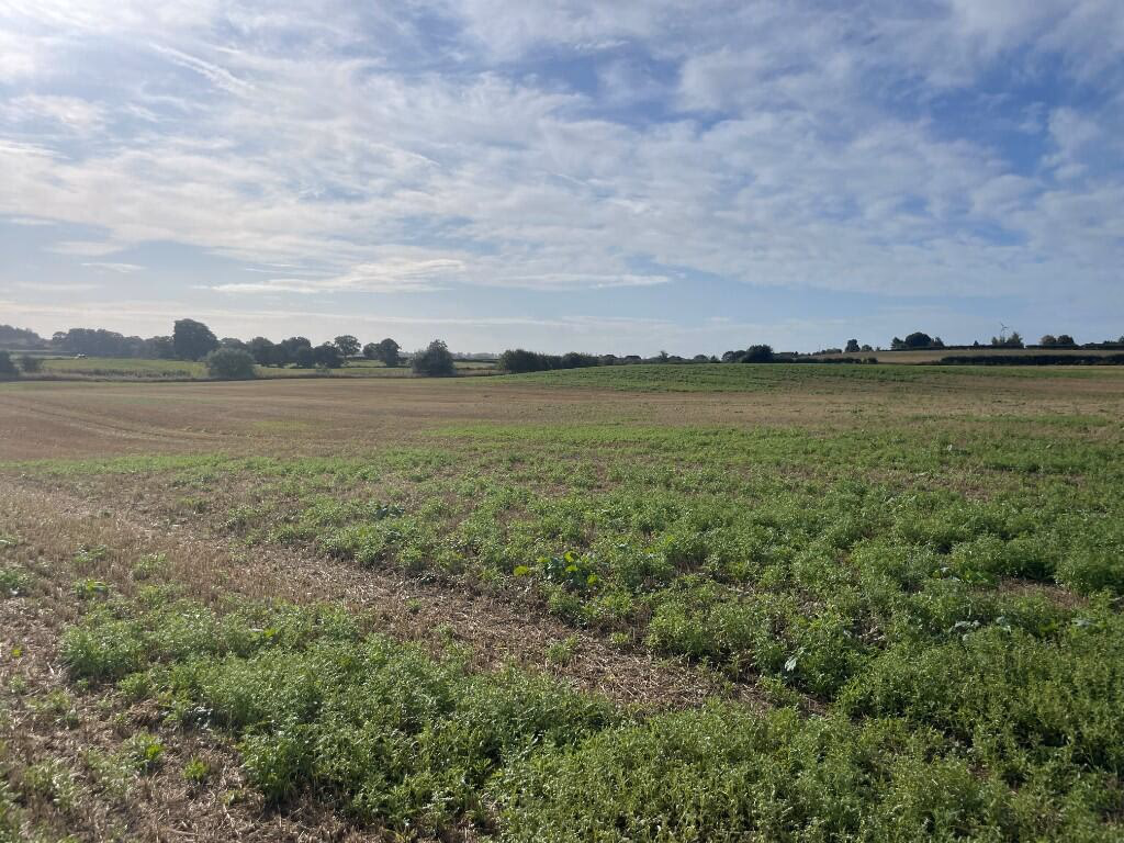 Farm land for sale - Image 3