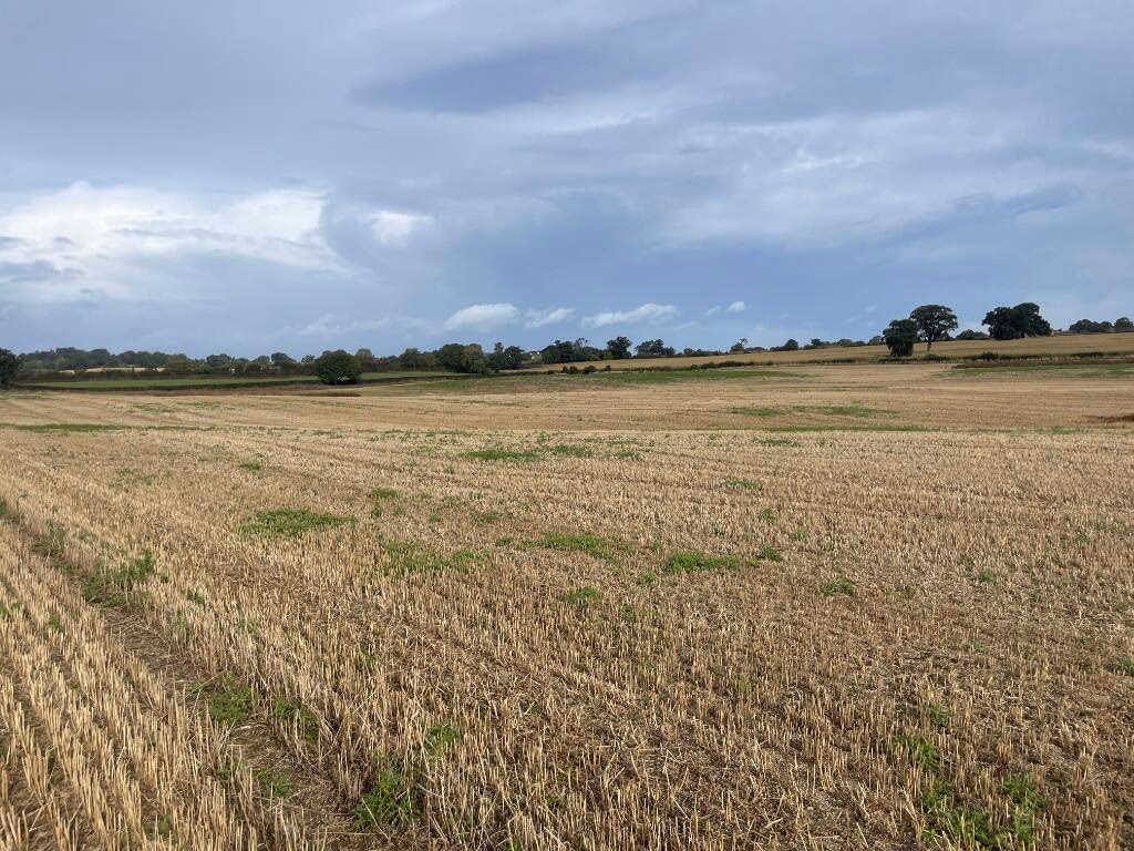 Farm land for sale - Image 4