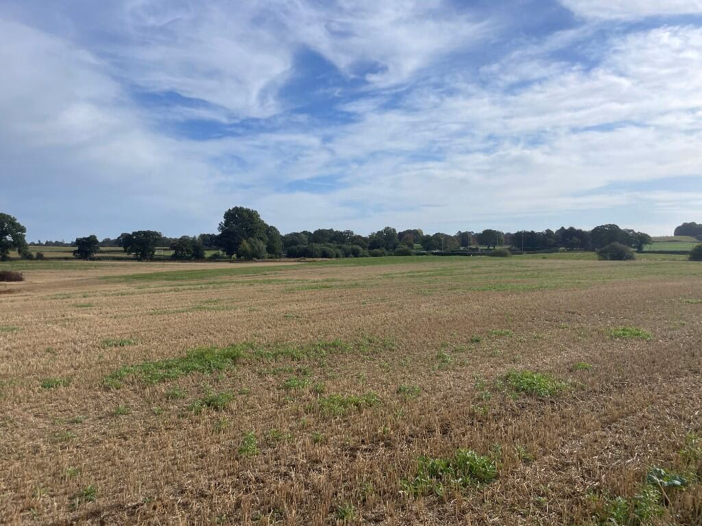 Farm land for sale - Image 5