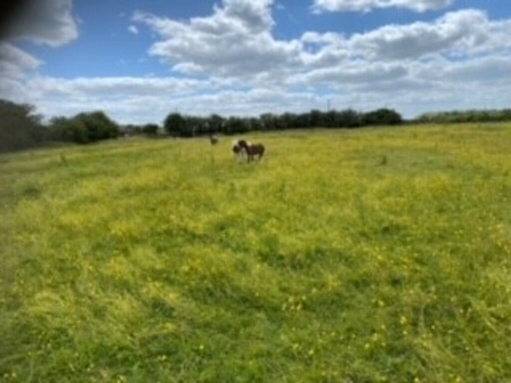 Land for sale - Image 1