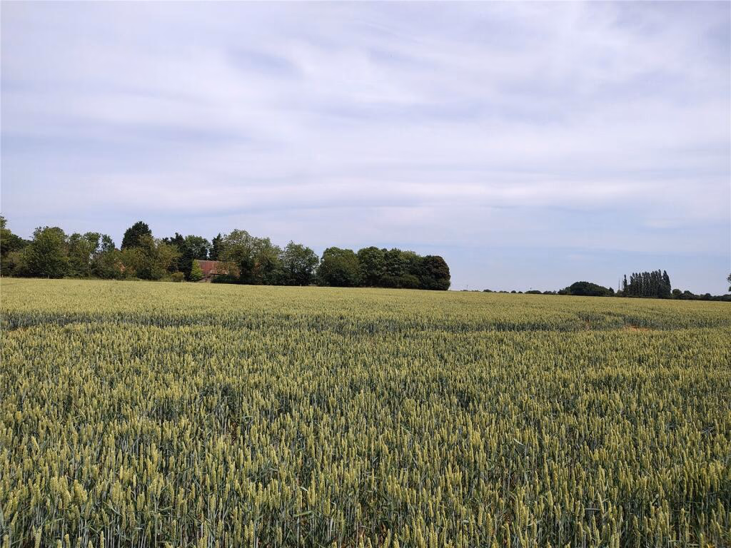 Land for sale - Image 5