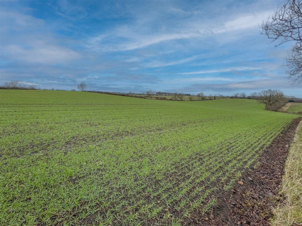 Land for sale - Image 2