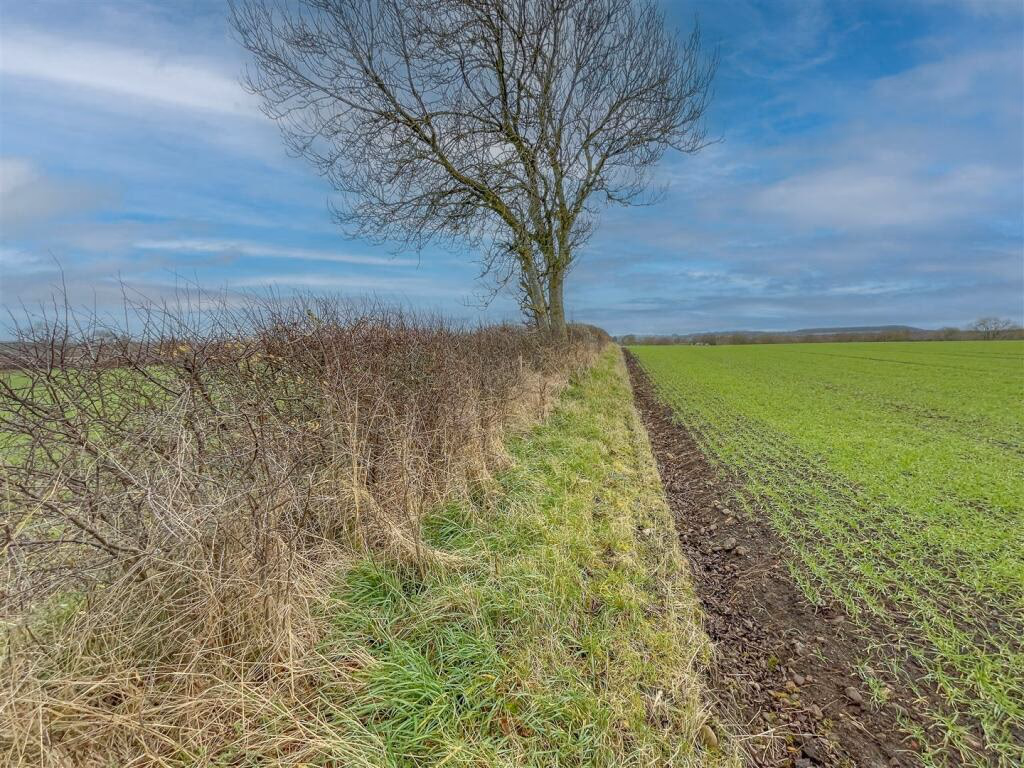 Land for sale - Image 5