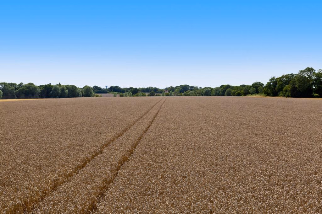 Farm land for sale - Image 1